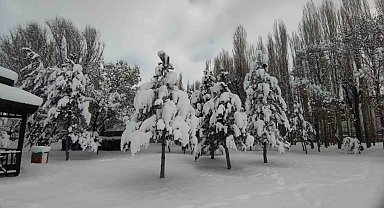 Van'da karla gelen güzellik: Ağaçlar kartpostallık manzaralar oluşturdu