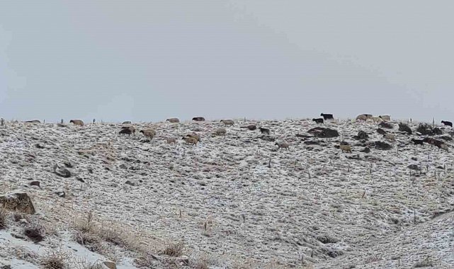 Van'da kış yüzünü gösterdi: Erek Dağı ve çevresi beyaza büründü