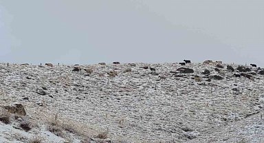 Van'da kış yüzünü gösterdi: Erek Dağı ve çevresi beyaza büründü