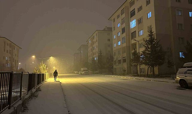 Van'da yoğun kar yağışı