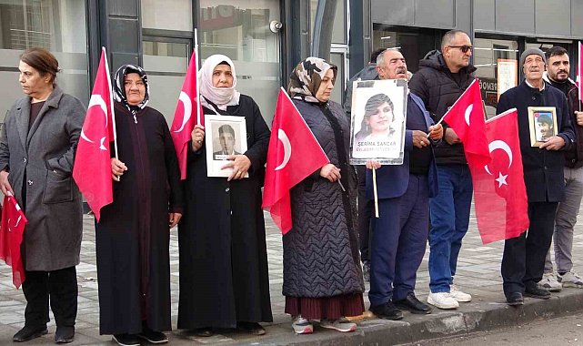 Vanlı annelerin evlat nöbeti 114'üncü haftasında