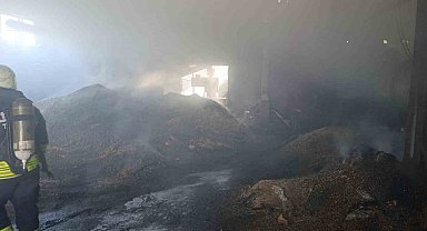 Vize'de palet fabrikasının deposunda yangın