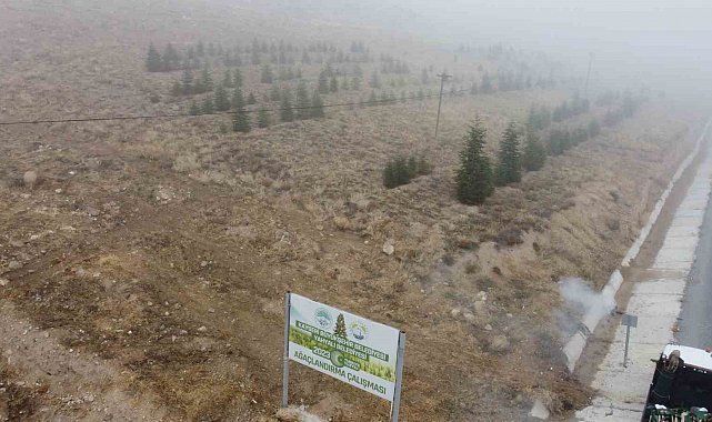 Yahyalı'ya bin 200 fidan dikildi