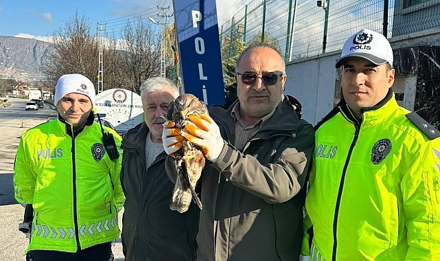 Yaralı şahine polis şefkati