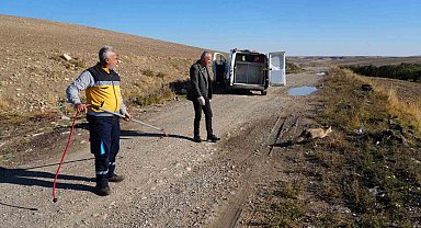 Yaralı tilki tedavisinin ardından doğaya geri bırakıldı