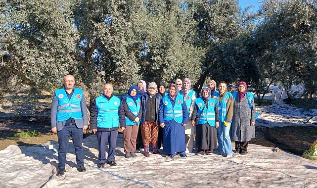 Yatağan'da zeytin hasadı ve bereket duası yapıldı
