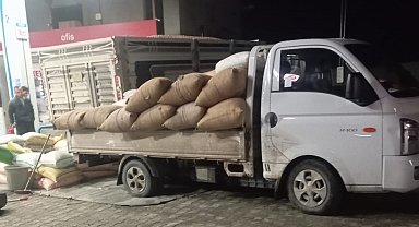 Yılbaşına günler kala fındık fiyatları yükselişe geçti