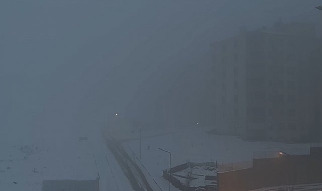 Yüksekova'da yoğun sis hayatı felç etti