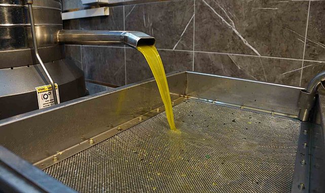 Zeytinyağı fiyatları belli oldu, fiyatlarda artış yaşandı