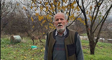 Zirai ilaç yüzünden milyonlarca arısı kovana dönemeden öldü