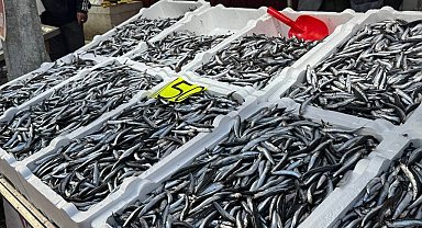 Zonguldak'ta hamsi 150 liradan alıcı buldu