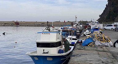 Zonguldak'ta hamsi yoğunluğu yaşandı, palamut çıkmadı