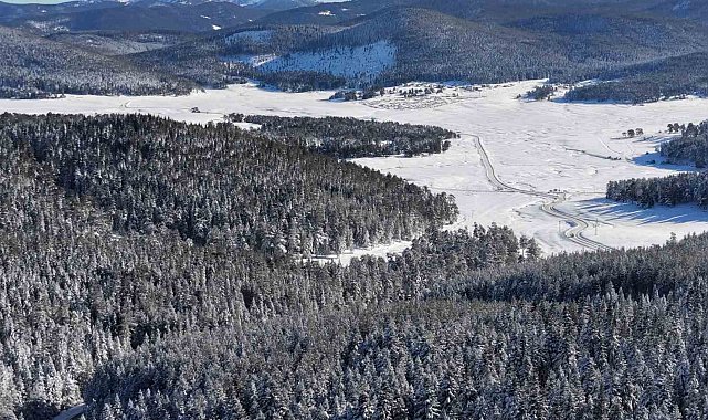 14 köyün yaylasının bir arada bulunduğu Sarıalan'da kış güzelliği