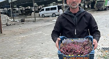 2025 yılı üzümlerini 2026'da bitirdi