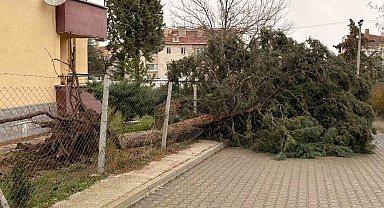 75. Yıl Mahallesi fırtınadan olumsuz etkilendi