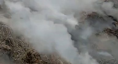 Adana'da samanlık yangını kontrol altına alındı