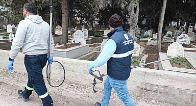 Adana'da sokak köpeği endişesi