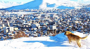 Afşin'de kar sonrası manzara hayran bıraktı