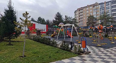 Afyonkarahisar'da beklenen kar yağışı başladı