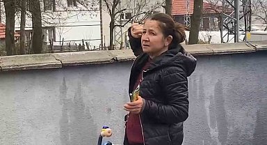 Ağaçta mahsur kalan kedi bir haftadır kurtarılmayı bekliyor