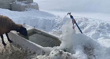 Ağrı'da soğuk hava etkisini göstermeye devam ediyor