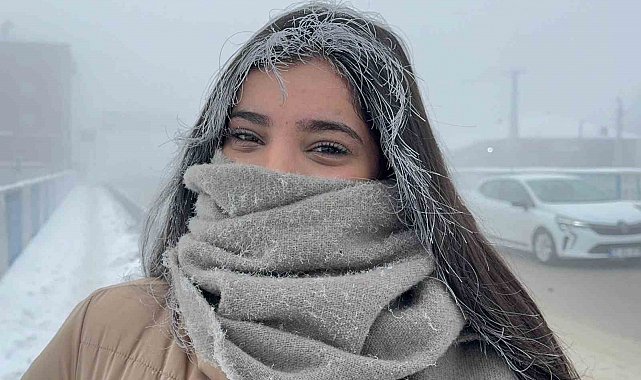 Ağrı'da termometreler eksi 24'ü gösterdi