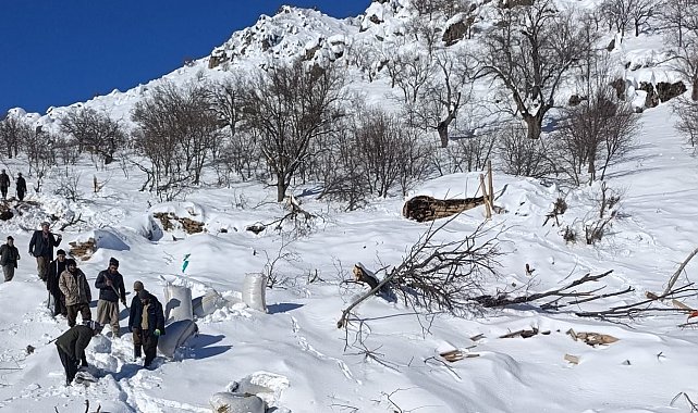 Ahırların üzerine çığ düştü, küçükbaş hayvanlar telef oldu
