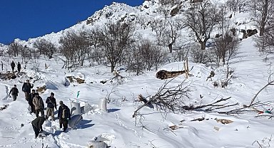 Ahırların üzerine çığ düştü, küçükbaş hayvanlar telef oldu