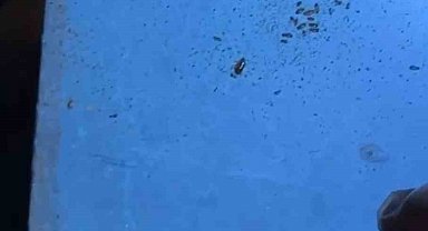 Alışveriş merkezindeki restoranlarda mide bulandıran görüntüler