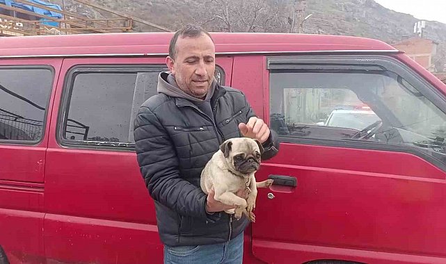Amasya'da yangında mahsur kalan köpeği muhtar kurtardı