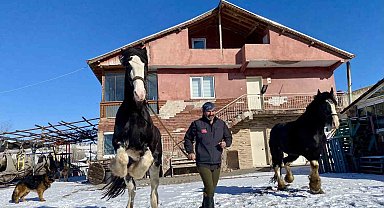 Ankara'da sıra dışı yaşam: Onlarca hayvanla ortak hayat kurdu