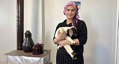 Annesiz kalan kuzu ailenin 'Umut'u oldu