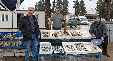Araban'da soğuk hava balığa talebi artırdı