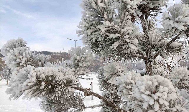 Ardahan'da dondurucu soğuklar etkili oldu