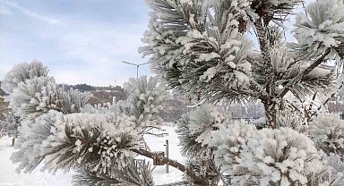 Ardahan'da dondurucu soğuklar etkili oldu