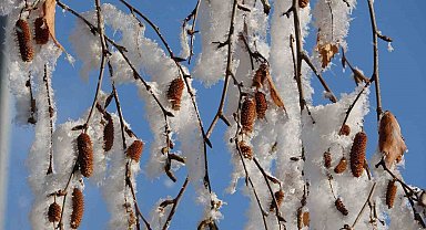 Ardahan'da Sibirya soğukları devam ediyor