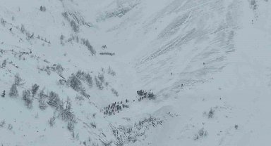 Artvin'de çığ altında kalan çobanları arama çalışmaları havadan görüntülendi