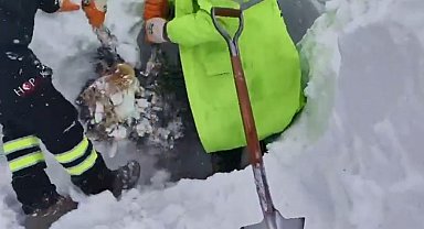 Artvin'de çığ bölgesinde arama kurtarma çalışmaları ikinci günde yeniden başladı