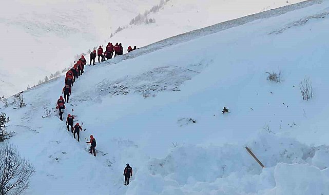 Artvin'de çığ faciasındaki kayıp çoban için arama çalışmaları üçüncü gününde yeniden başladı