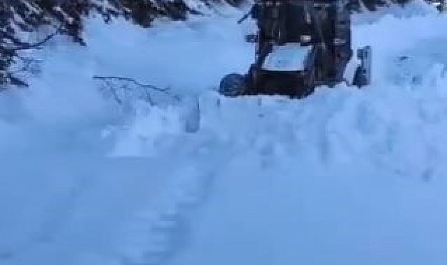Artvin'de kar nedeniyle 130 köy yolunda ulaşım sağlanamıyor