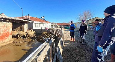 Aşı sırasında yeni doğan kuzu sevindirdi