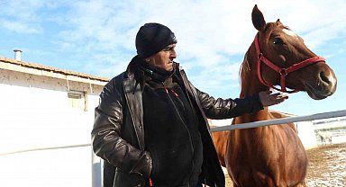 At yetiştiriciliğinin kış zorlukları