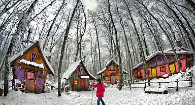 Avrupa'nın en büyük doğal yaşam parkı Ormanya beyaz örtüyle kaplandı