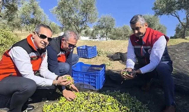 Aydın'da bir yılda 3 bini aşkın tarımsal denetim yapıldı