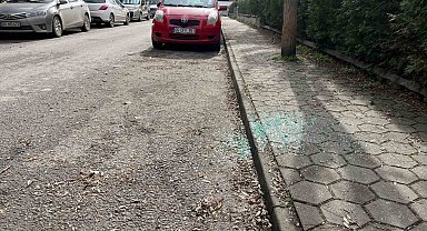 Aynı sokak üzerinden beş aracın camlarını kırıp hırsızlık yaptılar