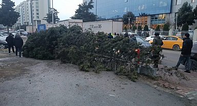 Bahçelievler'de şiddetli rüzgar nedeniyle ağaç devrildi: 1 kişi altında kaldı