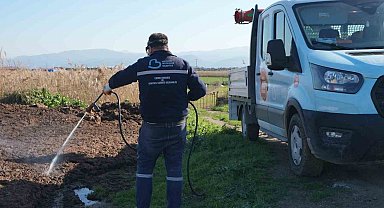 Balıkesir Büyükşehir'in haşerelere karşı mücadelesi sürüyor