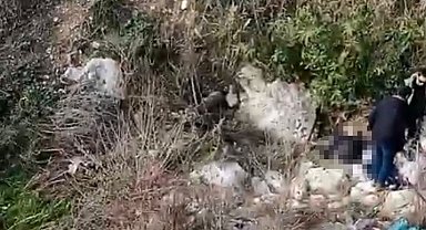 Balıkesir'den kayıp olarak aranan şahsın cesedi Mersin'de bulundu