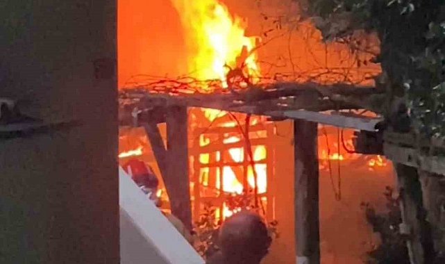 Bartın'da odunluk yangını paniğe neden oldu