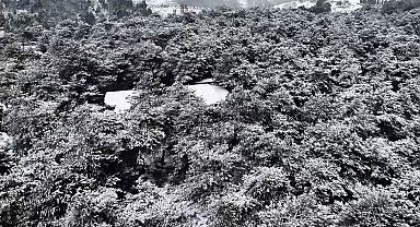 Başakşehir Şamlar Tabiat Parkı beyaza büründü